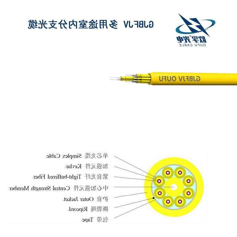 欧孚GJBFJV 多芯分支室内光缆厂家直供 分支缆价格满意 正品低价